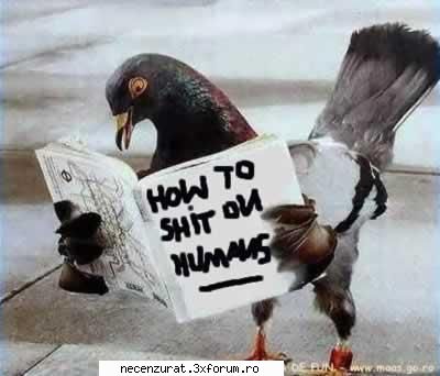 poze :D - how to shit on humans......... :| - Diverse