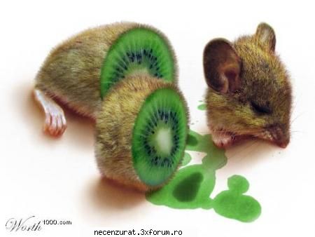 poze :D - gata nu mai mananc in viata mea kiwi :| - Diverse